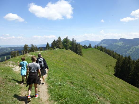 Schöner Gratverlauf Richtung Thalerhöhe