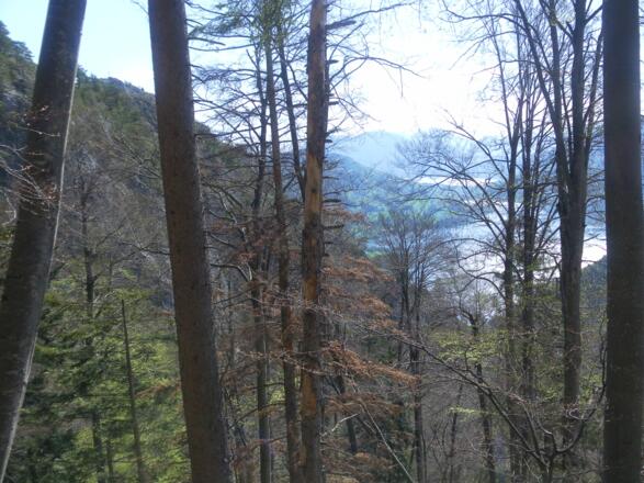 Drachenwand und Mondsee/Attersee