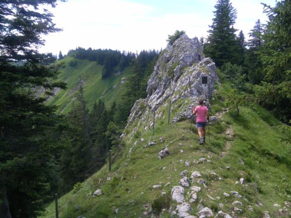 vom Predigtstuhl zum Klausenberg