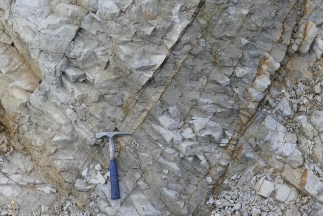 Kalkstein oder Dolomit der Raibl-Formation