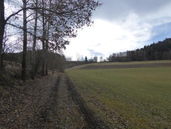 Aufstieg nach Sitzenberg