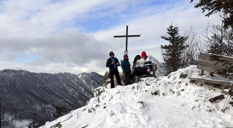Schabenreitnerstein 1143m