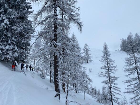 Der Wald lichtet sich, der Dritte Graben wird gleich gequert und dann gehts nach links aufwärts