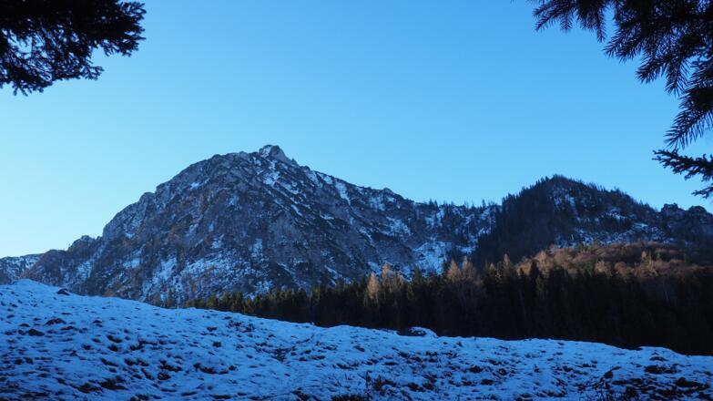 Gipfelblick kurz vor Rotwandsattel um 1180m