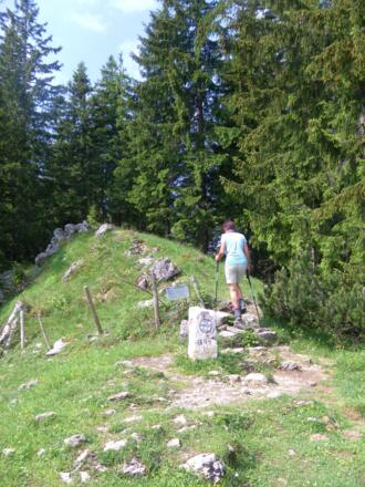 am Spitzsteinkamm