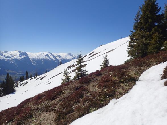 Gipfelkreuz in Sicht