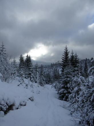 Pfade zum Siebensteinkopf