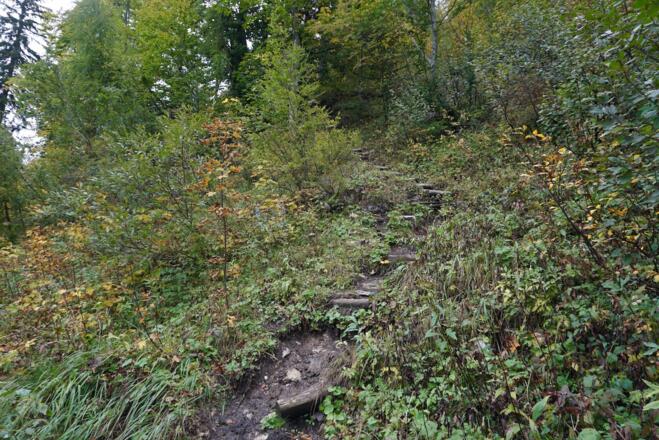 Erstes Steilstück mit Stufen