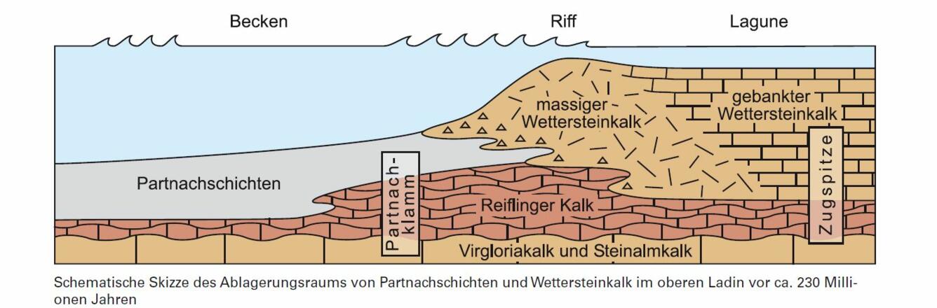 Ablagerungsraum der Partnach-Formation (ehemals Partnachschichten), des Reiflinger Kalks (Reifling-Formation) und des Wettersteinkalks (Wetterstein-Formation), der als Riffschuttkalk, massiger und gebankter Kalk vorkommen kann
