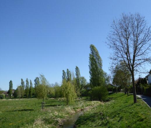 Allachbach in Alburg
