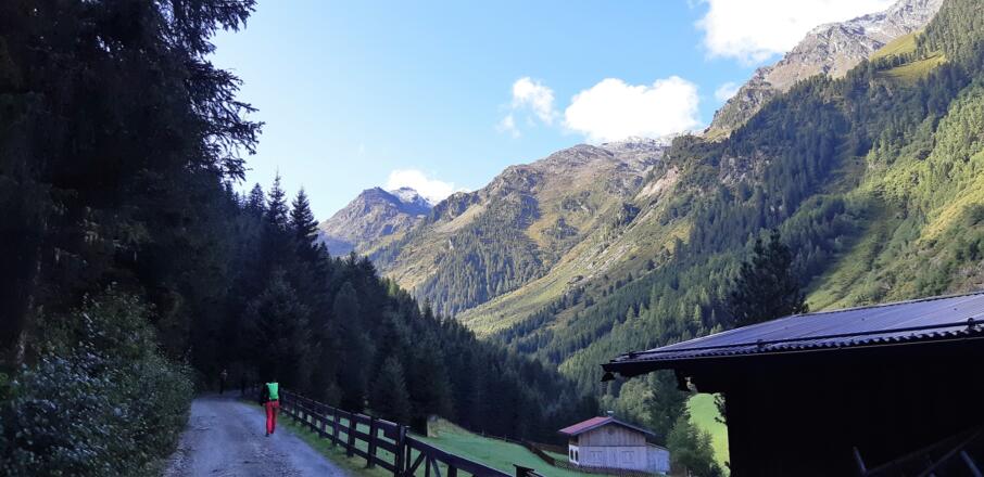 Auf der Voldertalstraße (Fahrverbot) Richtung Vorbergalm.