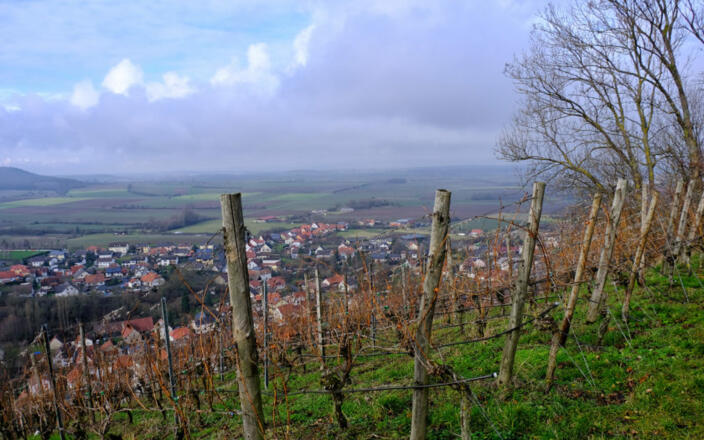 Am Hermannsberg