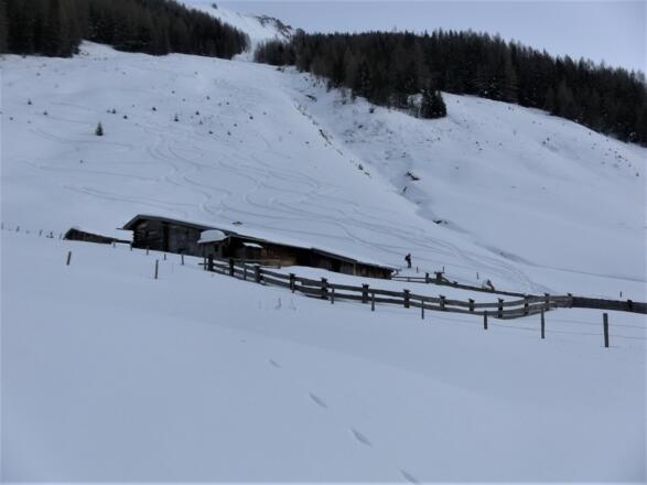 Schneise über der Hofmannalm