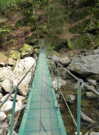 Buchberger Leite - Hängebrücke
