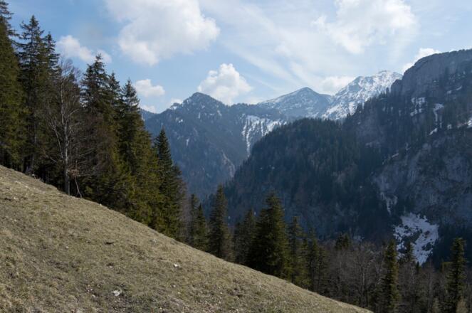 Ausblick vom Eibelkopf zu Hochsalwand und Wendelstein