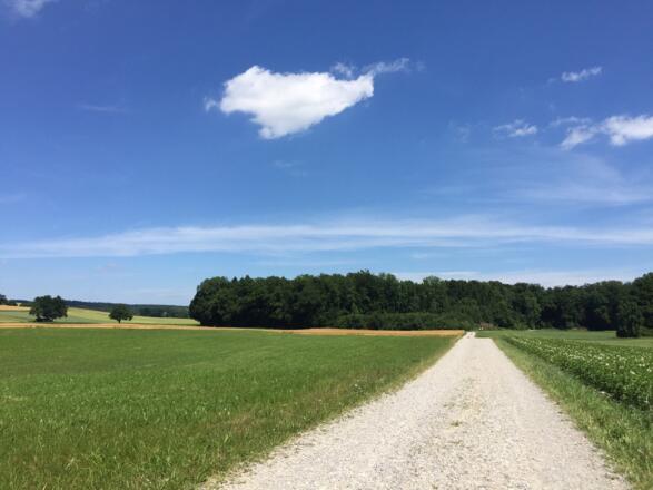 Amperradweg Eching - Kottgeisering