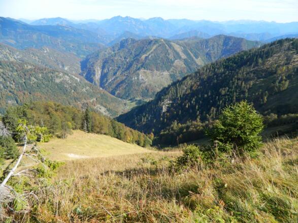 Tiefblick zum Krennbauern (Laussabach)