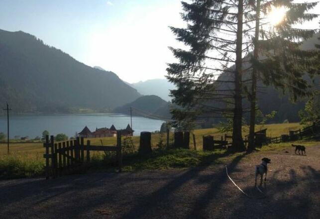 Fewo Löffler   Haus Tina