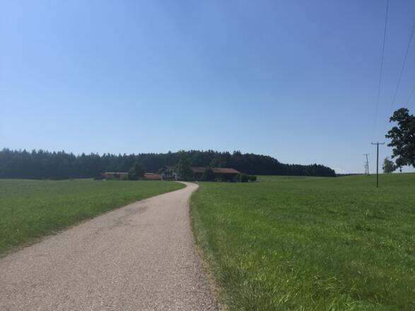 Kolbing