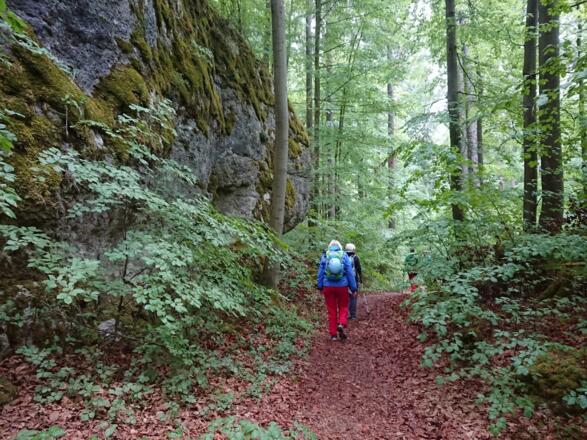 Märchenhafte Landschaft