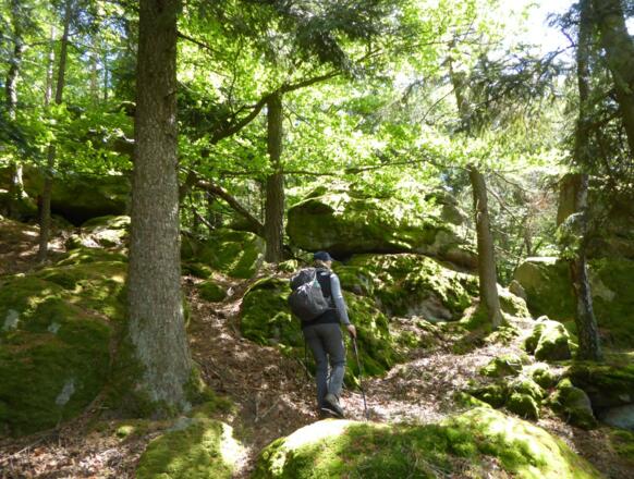 felsige Pfade am Semmelberg