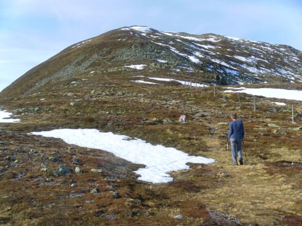 Wildkogel Ostrücken