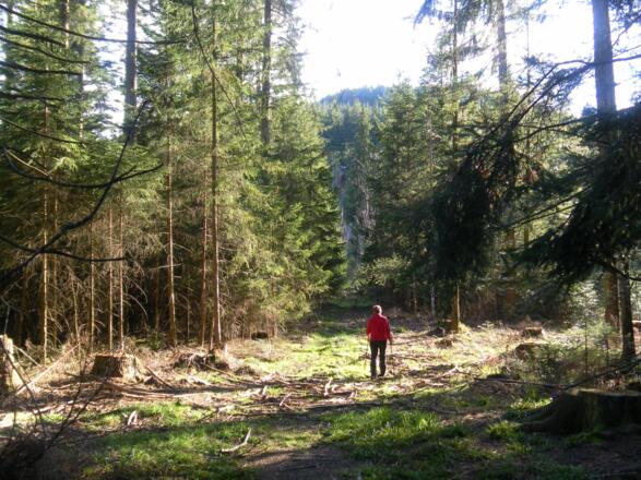 am Fuß des Gipfelhangs