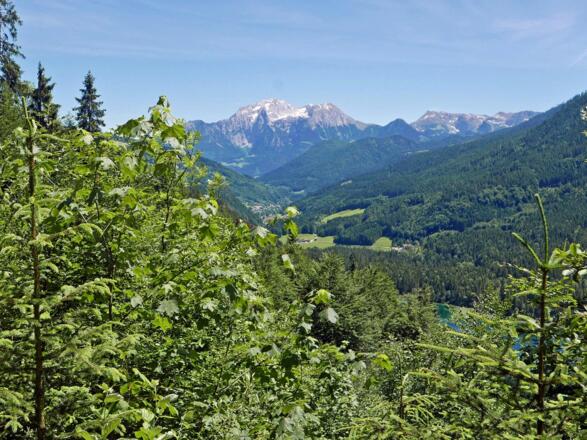Blick über die Ramsau