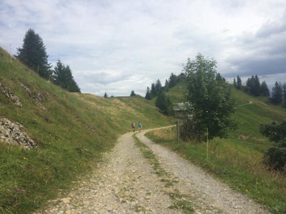 zum Hoch Häddrich Haus Einkehrmöglichkeit ebenerdige Toilette