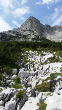 Schönberg