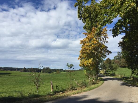 Anstieg bei Friedenauer