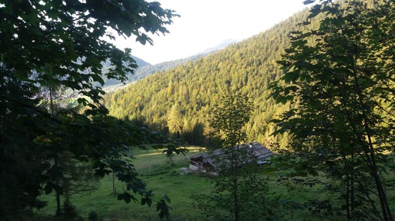 Geschwendner-Alm vom Weg oberhalb im Abstieg vom Straubinger Haus.