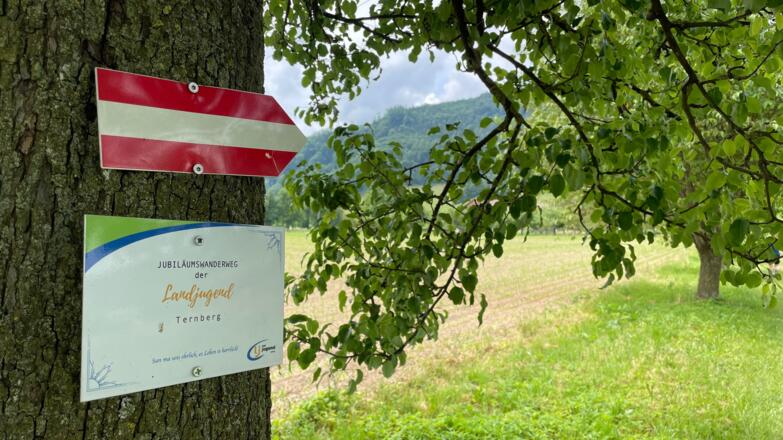 Bahnhof Ternberg - Herndleck Trail