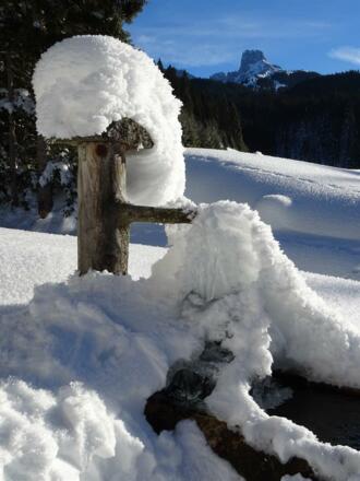 Brunnen