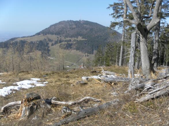 Gaisberg beim Nordrückenabstieg