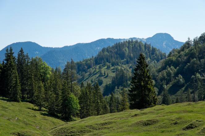 Ausblick zum Risserkogel