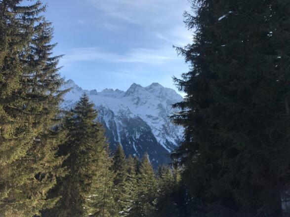 Blick zum Geigenkamm