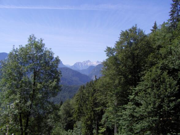 Nach dem Aufstieg durch den Wald genießen wir den ersten Ausblick.