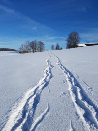 Blick zurück
