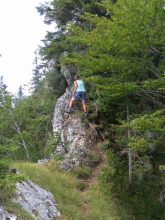 Nordgrat zum Zellerhorn