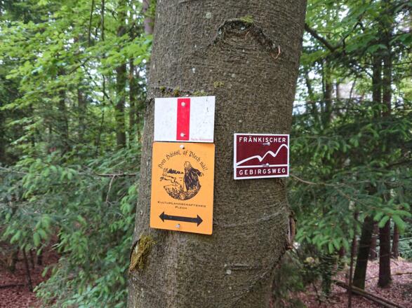 Wegmarkierungen am Großen Berg