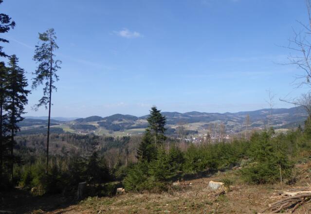 Tolle Fernsicht vom Vorderen Buchenberg
