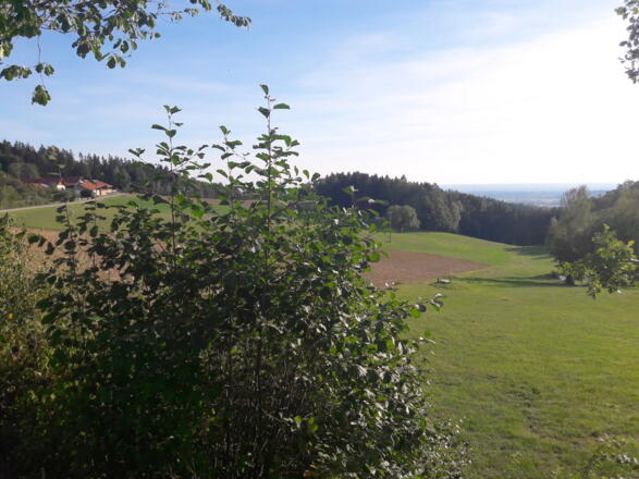 Blick ins Donautal und zum Feiertaghof (ganz links)