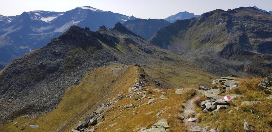 Weg auf den Zittauer Tisch / Blick zurück Richtung Otto Reichert Weg