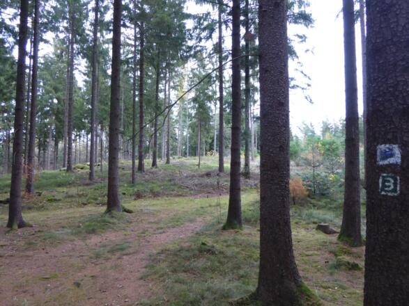 Blick auf den Steinberg (562 m)