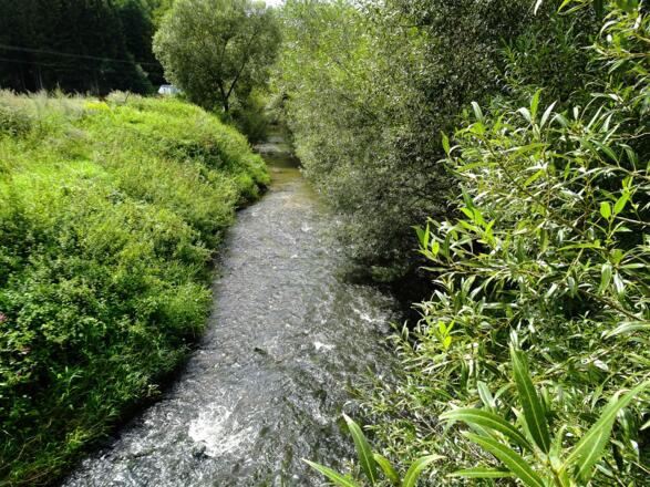 Die Schwarzach bei Pattenhofen