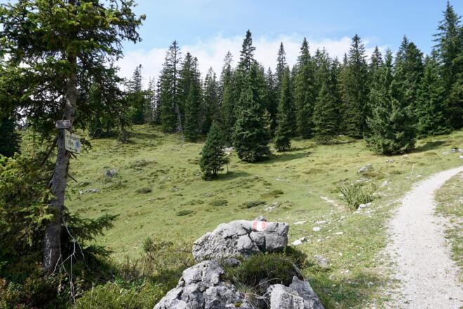Abzweigung links vom Fahrweg zur Neualm