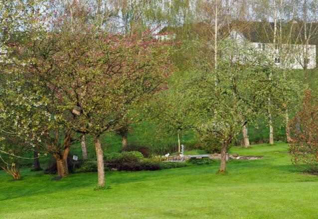 Vorbei an herrlichen Gärten