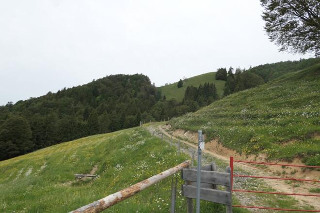 Gipfel in Sichtweite