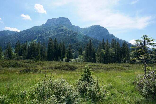 Röthelmoosalm mit Hörndlwand